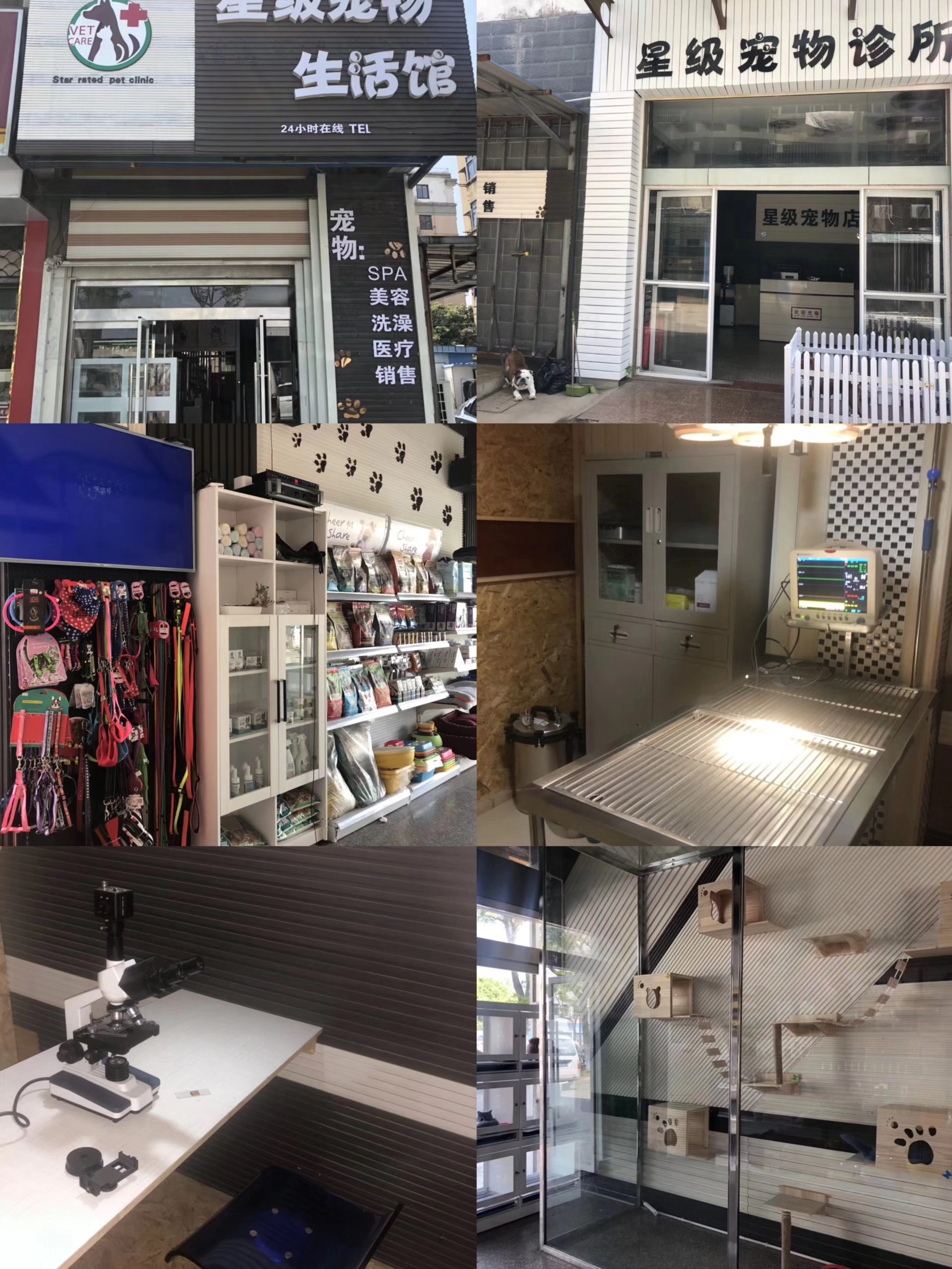 图片[3]-你还在到处找项目？还在当韭菜？我靠卖项目一个月收入5万+，曾经我也是个失败者。